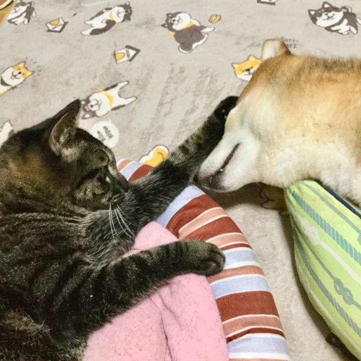 Fafbfb12 09bc 4124 b5df 62f6d0c9d1ec 1603713464856