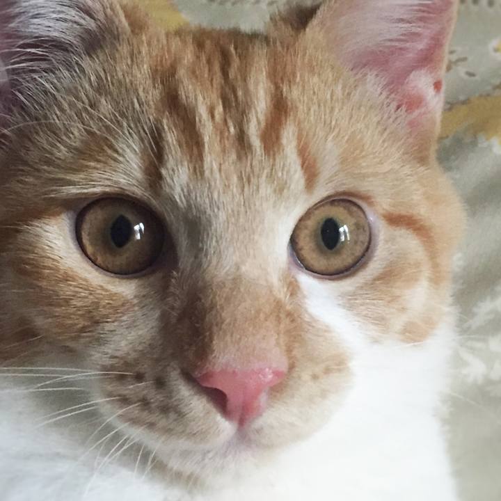 Fafc0d71 0f73 44e5 87f3 258da2edaf05 1574684142525