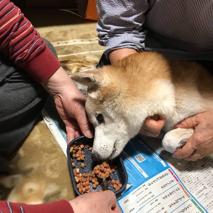 Fafc2a47 dc56 4e68 a7ee d174f048cac9 1546348129339