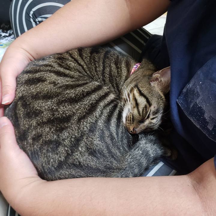 Fafc6180 a3c5 43fb a53c ae8bd4c4fe75 1570380928788