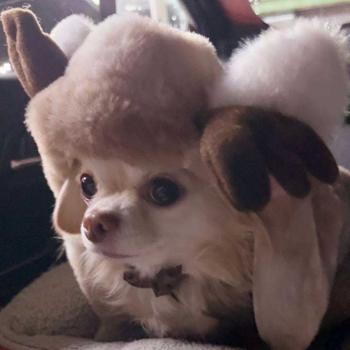 Fafc9745 b7f6 4e4f 85e1 9d48de20c221 1738666031399