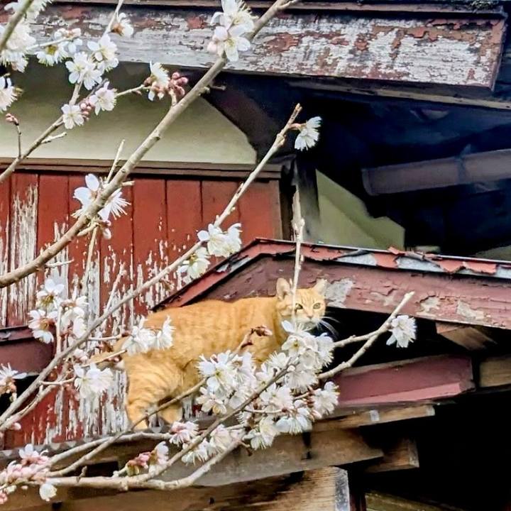 Fafca982 f9ce 46ad 8cd5 bcf9e4892920 1772255520407