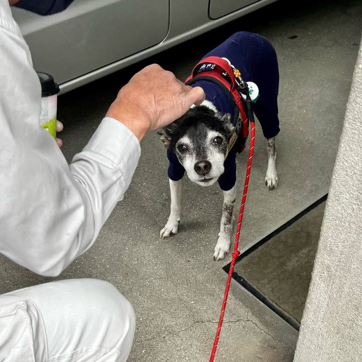 Fafcb2de 91b0 4892 80b5 5141f6f30592 1652046109576