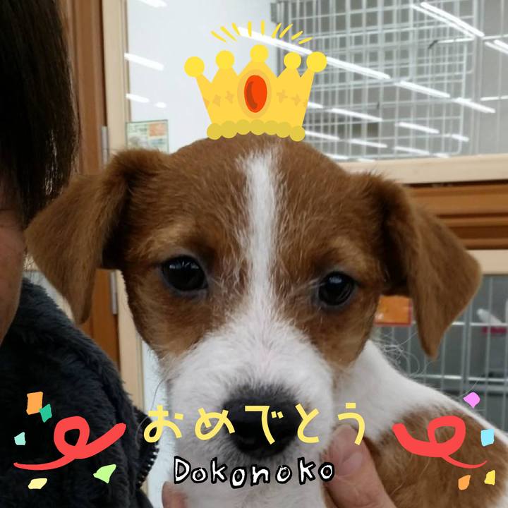 Fafcc0df d2c7 41d9 95da 106f40e83568 1685951219827