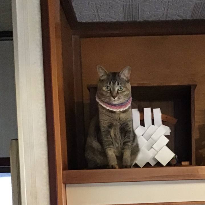 Fafcf30b a7de 4229 b61d b99af4dc7d6e 1623970493041