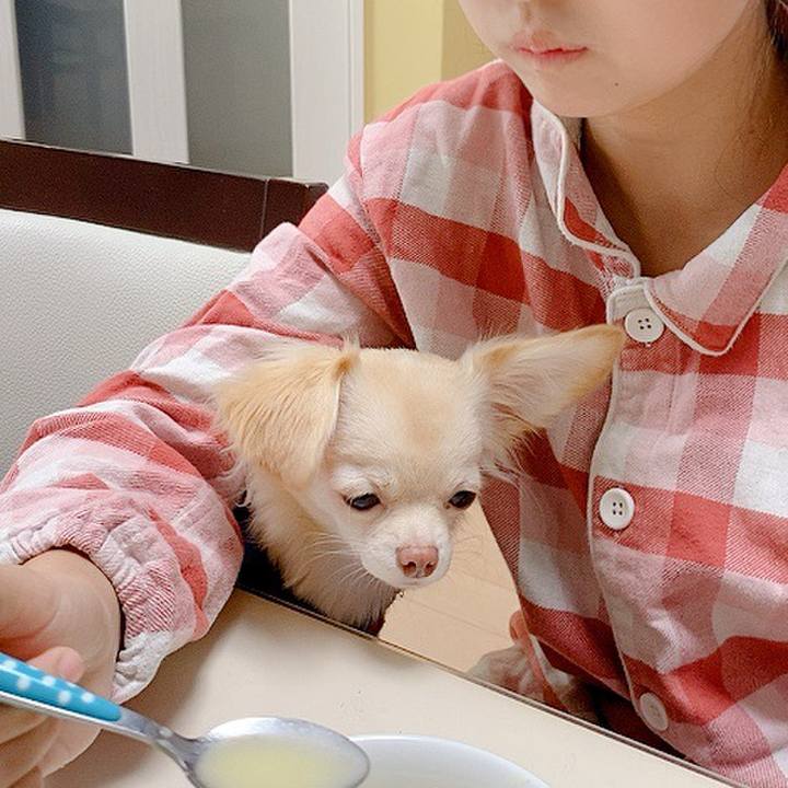 Fafd5930 7524 47dd 806a e44cee48b186 1603149438439