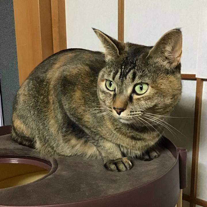 Fafd6512 495c 436f bd75 9b5243424fa3 1676468134244