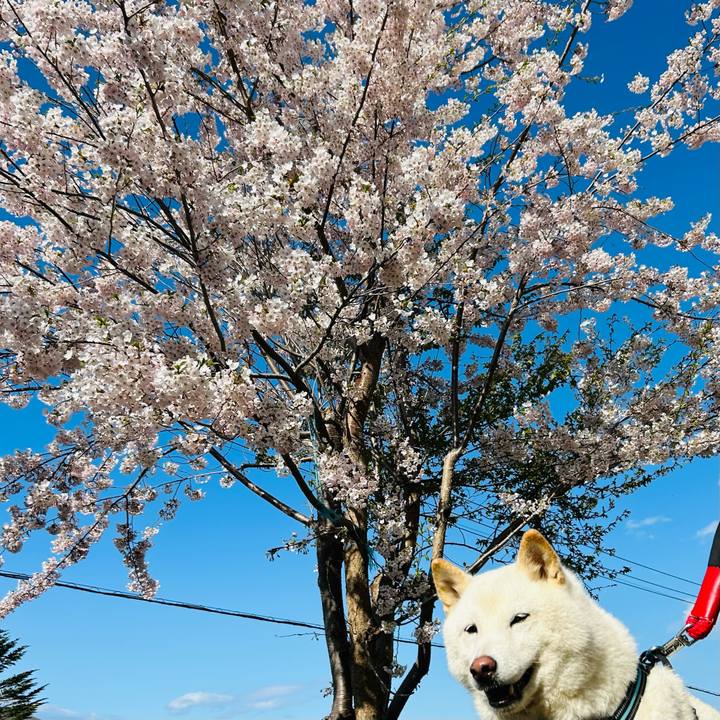 Fafdca78 b263 4efc b566 e1b59e25d258 1682890253722