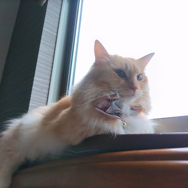 Fafe2de0 97c6 4afc 965b 451a32aa82b1 1724308614482