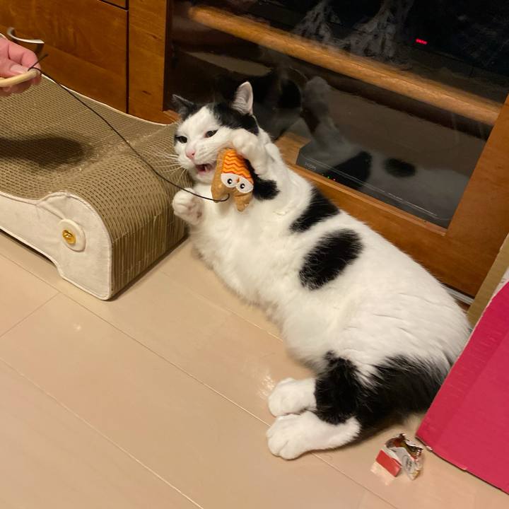 Fafe3438 bf41 4e00 bca5 de14725f6762 1772405693005