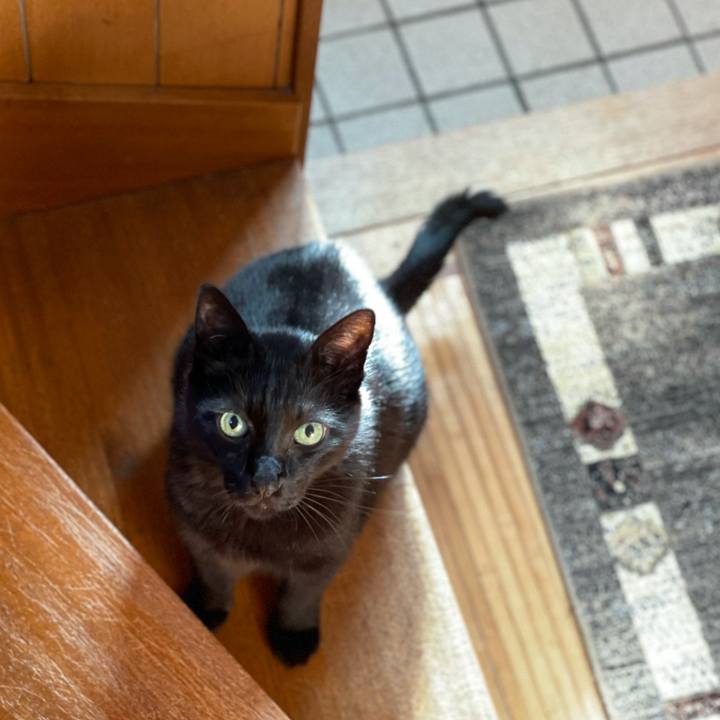 Fafe38de 20a7 4384 95a8 e33d60d987a9 1628121081502