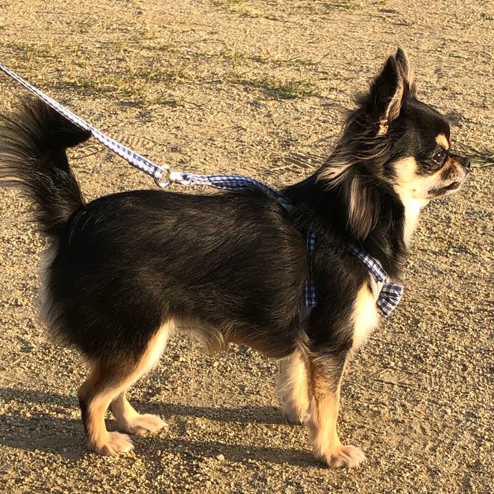 Fafe4bad 6b63 4f5e 9cba 8fe935524a1e 1557396359788