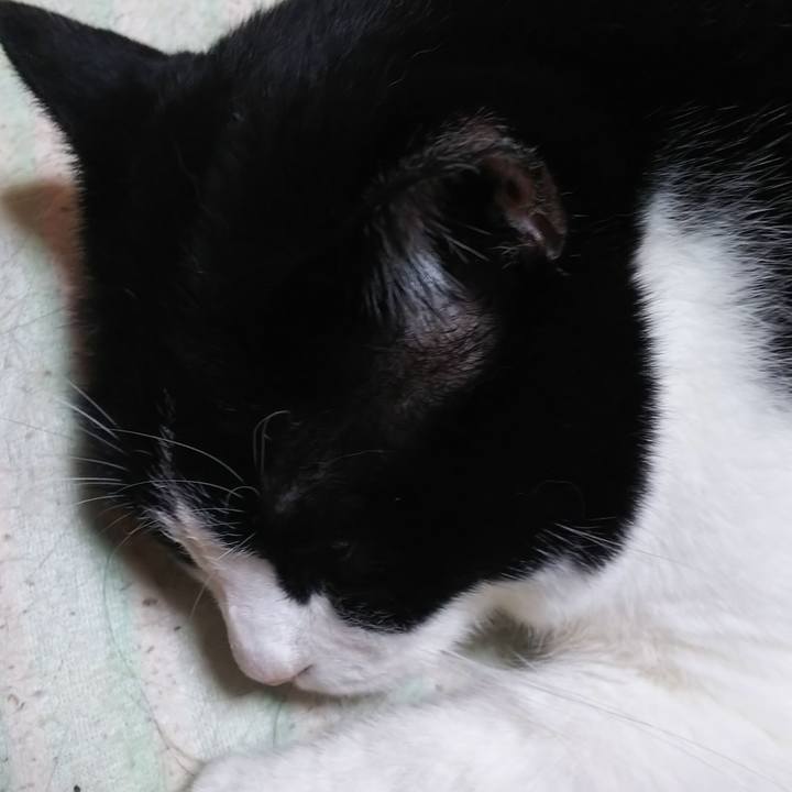 Fafe598c cd32 4f6f 9c9c d0f7d4987e22 1564609846421