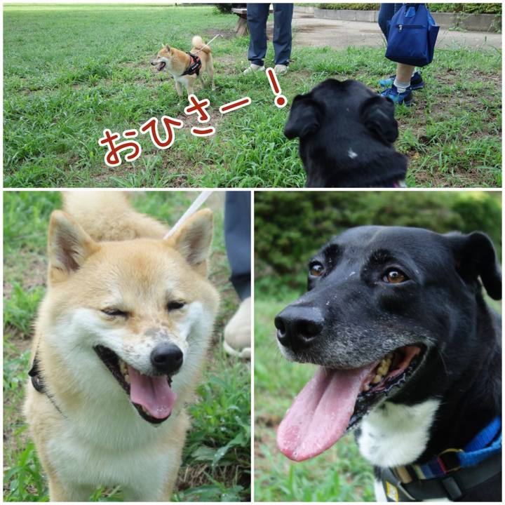 Fafe644e 012c 459b 9889 14d759b40dd2 1660524020030