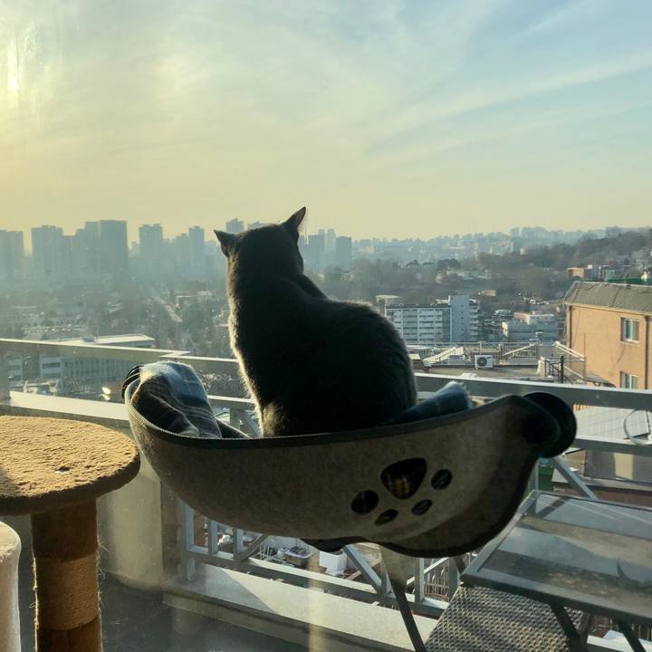 Fafe7559 2210 477e b045 c26357948e8c 1614250185577