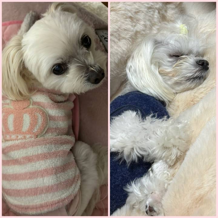 Fafea9d1 e020 4605 a01b 7c459e1428de 1741001685249