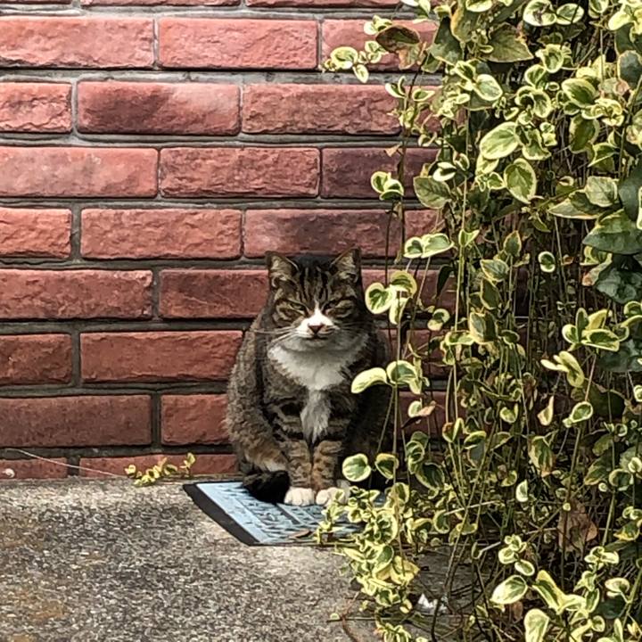 Faff24f5 9365 4635 823c d8122e399afb 1612107586907