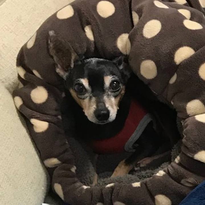 Faff32de 3beb 41ce ae58 d8329f82d03e 1610337577776