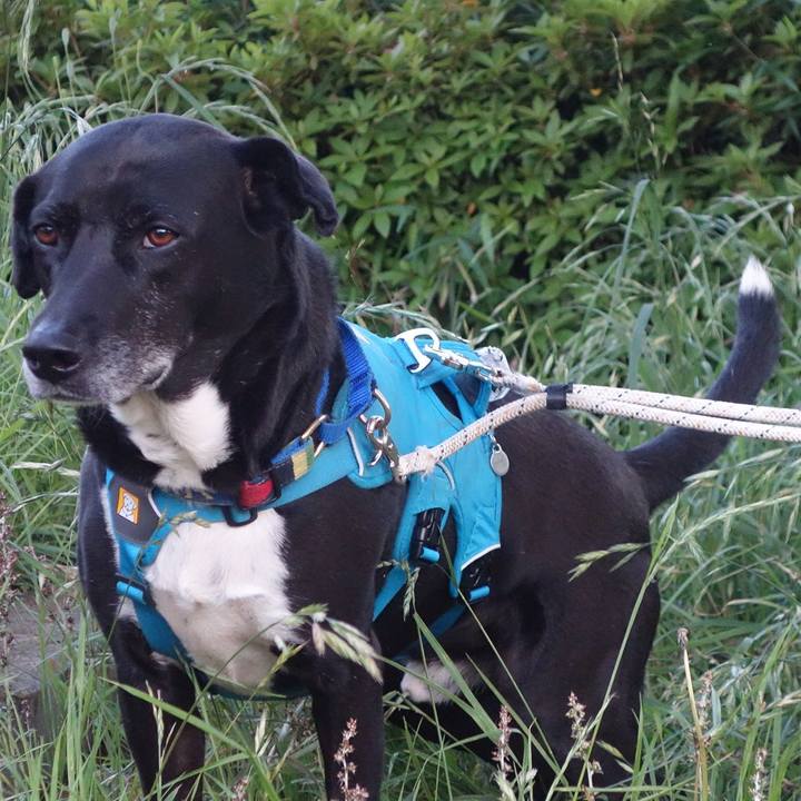 Faff6b03 4154 4e58 8c3f 5bc0c7bc277c 1683628101556