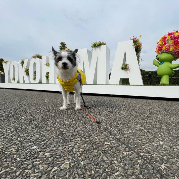 Faffb6e6 dc3c 4cbe 8246 83676cea2ccc 1648032620063