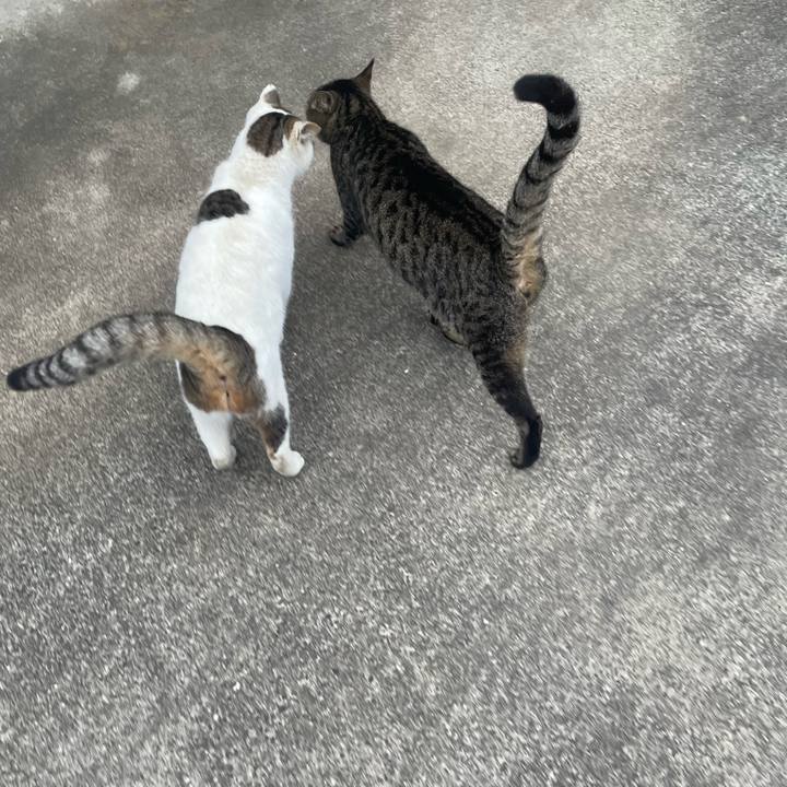 Faffbf56 ee45 4a6c b470 aba5fb207b79 1774308482029