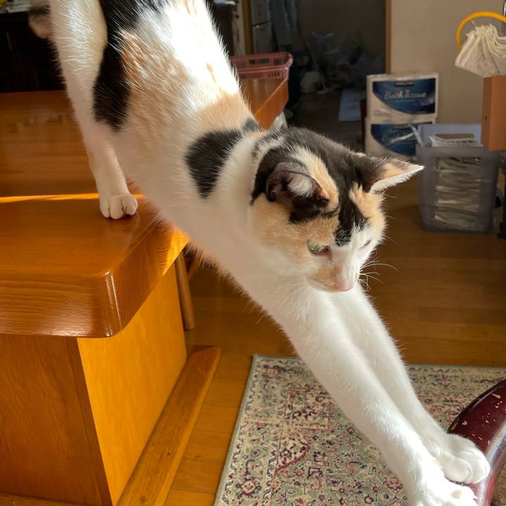 Faffda5a a0b9 4b80 9804 4028eff34230 1739235135216