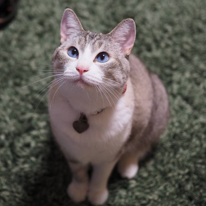 Fb000e6b ceca 46f8 a45f 7910839fd49c 1597038549905