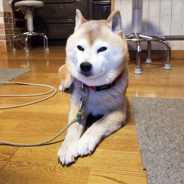 Fb001d7a a881 4649 a843 f813eb849739 1711412449486