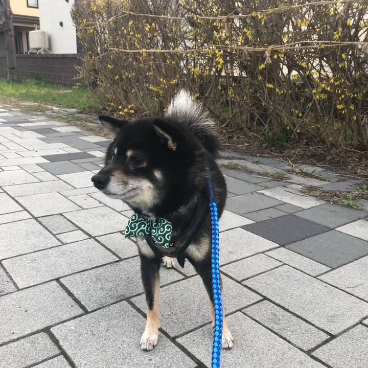 Fb0027e0 b936 46ac 99cc 4ad6ede93d87 1524530598622