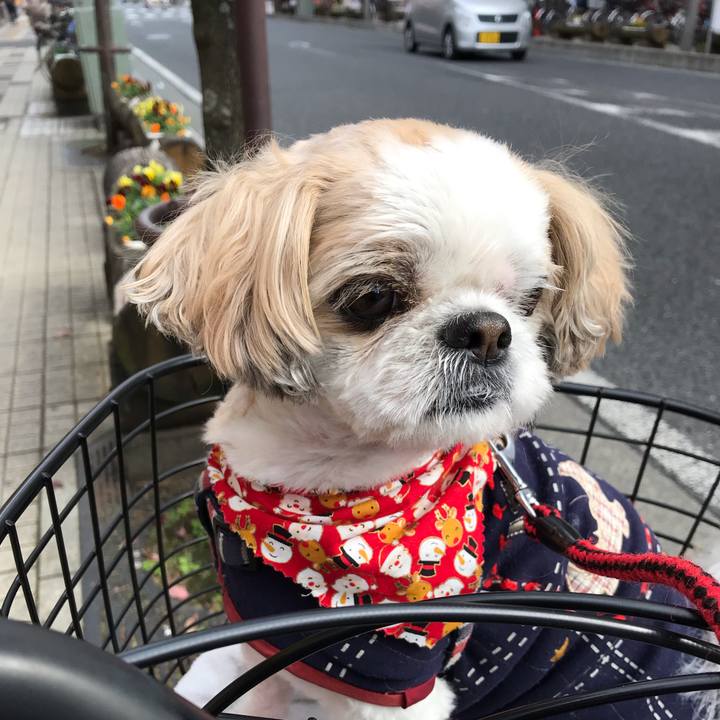 Fb0036ce 85ab 4fc1 b30e dc436879d07f 1544478431944