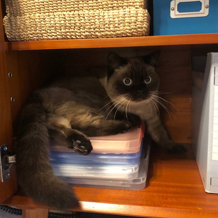 Fb003ab0 c5c2 49b0 befd 3f678f39bedf 1607646647376