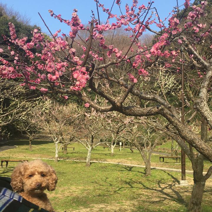 Fb004ac8 a2cc 41b0 a04c e420a2555ca4 1520924012097