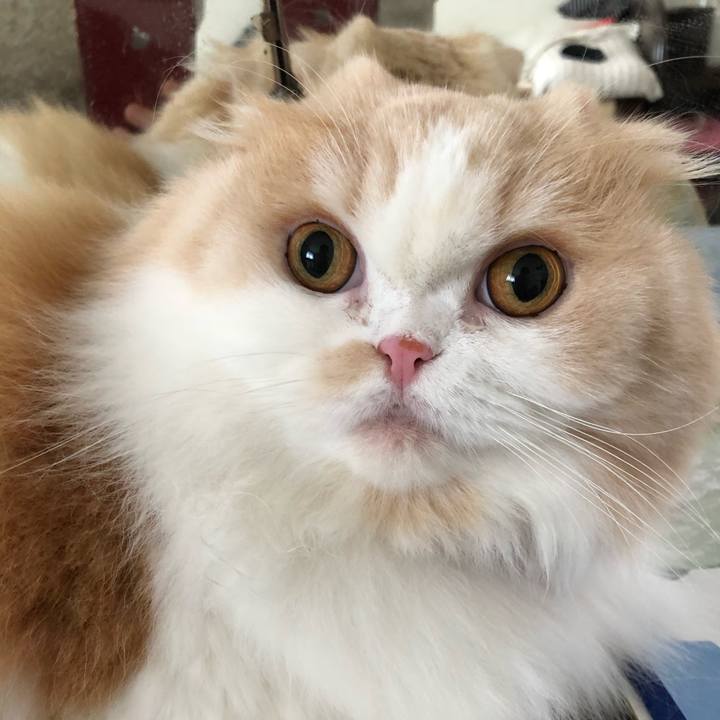 Fb0060b0 e6e1 409c b4ad 27ce7f2477aa 1594962054188