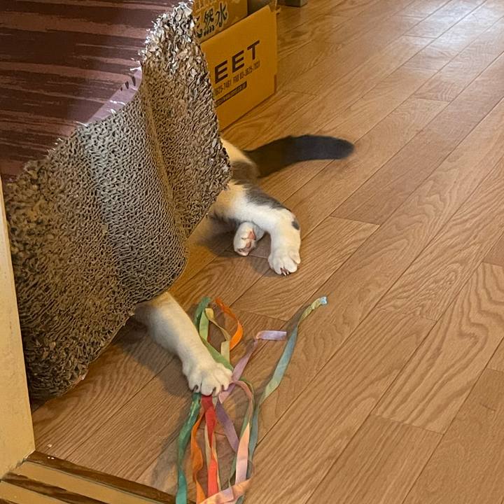 Fb00d3e1 10a9 43e0 b54c bdffd3abf161 1748756912771