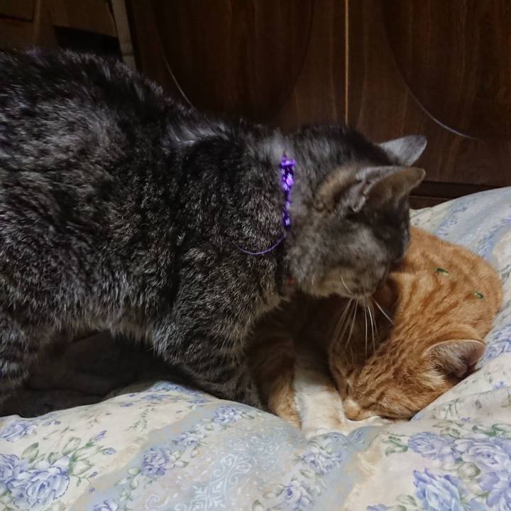 Fb00fe23 0afd 4916 825b 3e98e653a896 1582287142199