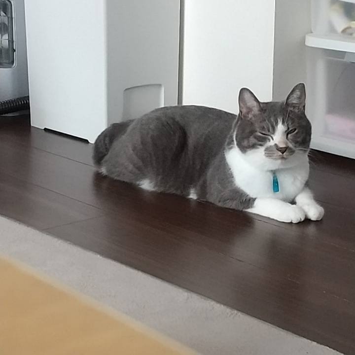 Fb01355f 9468 411b b107 d23a0a6e4b15 1630986047648