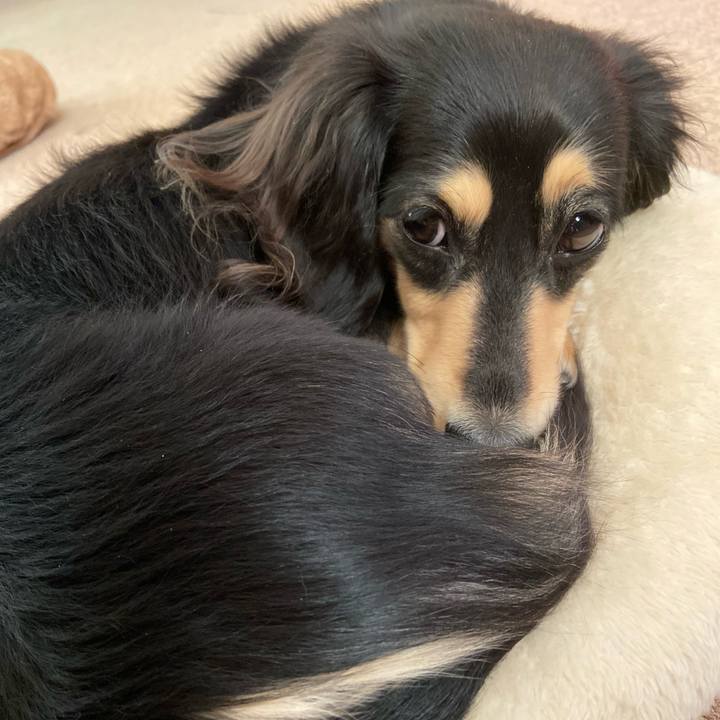 Fb013add c281 4548 95af 18e860e9c630 1709512718817