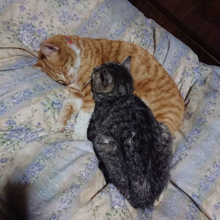 Fb019764 e4f0 47ef abde 92590f7fd4be 1579437132565