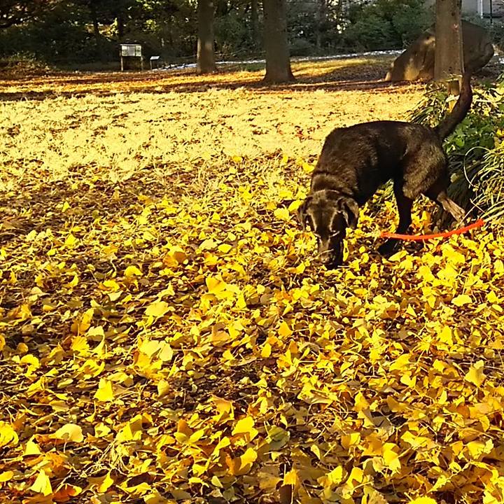 Fb019cf6 c147 4310 8761 a05f2091b872 1691808463130