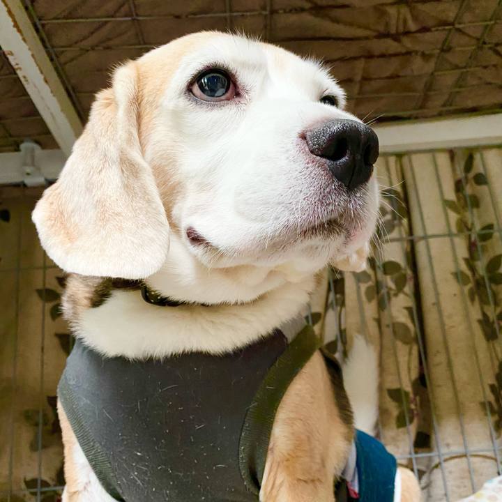 Fb01a865 a599 47f2 bbe3 b339cf23f201 1634356479869