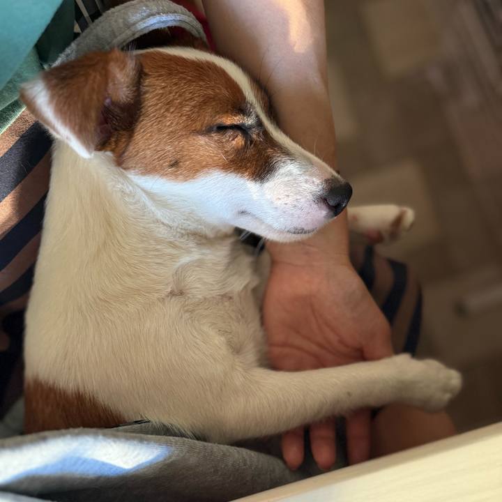 Fb01bdf3 9264 4928 a87c caa1f5bbf809 1752536905901