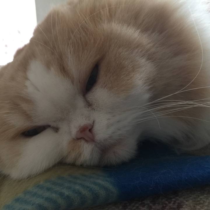 Fb01d872 e4c2 46d1 b6e3 41f19bd58766 1581808758408