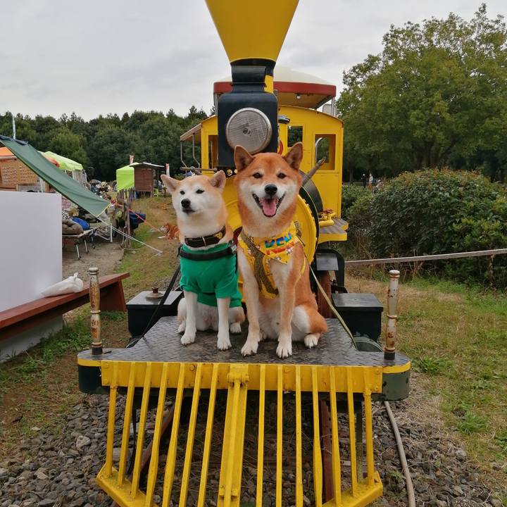 Fb01d9e5 601b 4389 a2eb ebb928a6812c 1604833011093