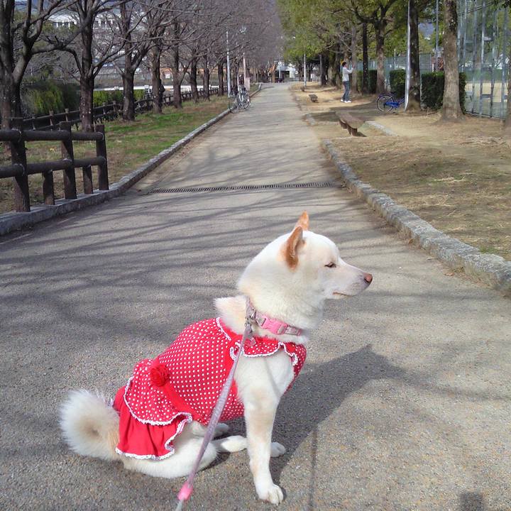 Fb0262ab c414 4630 ad16 88009f6bcf11 1677960838031