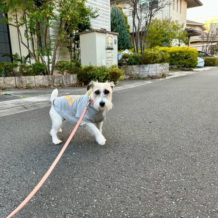 Fb02ab41 eca1 4a02 8995 4c69c73b63d7 1703430022552