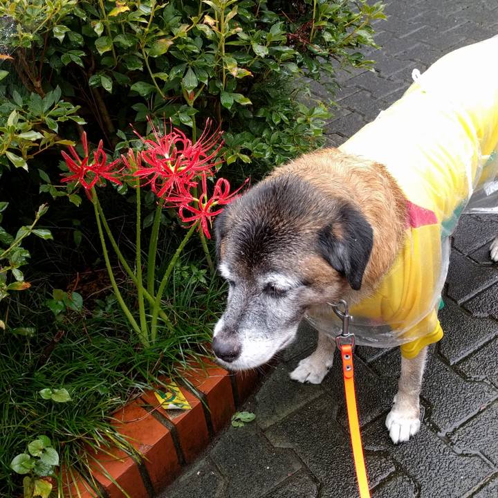 Fb02abfa ea0e 4f44 a77a c3b666950c9f 1536882088728