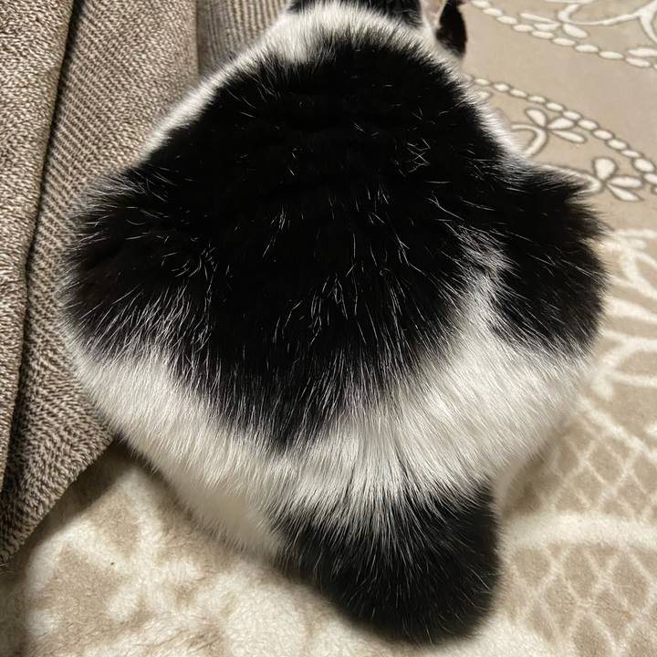 Fb02ba66 da20 4f26 99fc b1d72740e2ac 1578397854816