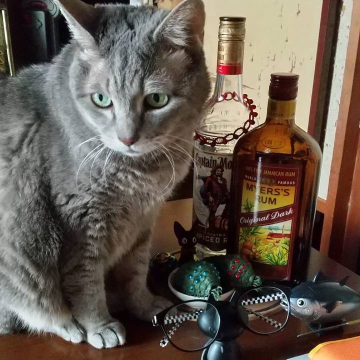 Fb02c9ae 48e1 49dc 8a48 8971b2ab6fbd 1604813025964