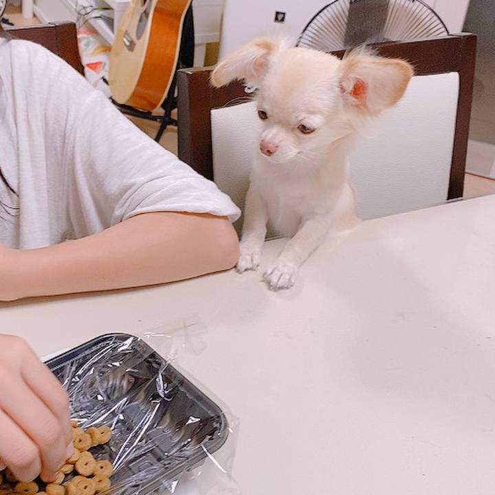 Fb02ce9c df51 4441 aa6d a6fde57c8e2d 1600254881066