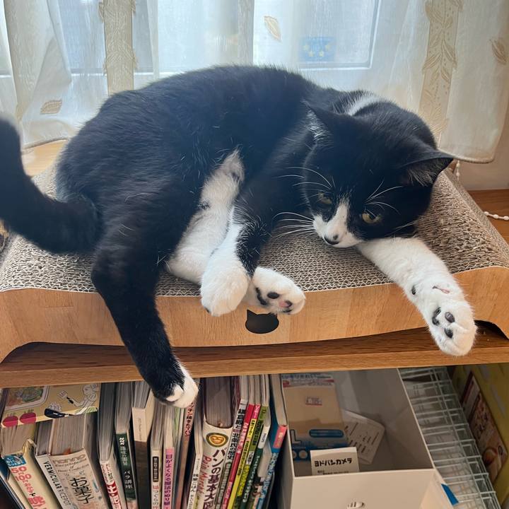 Fb02e705 17cf 4f7c 9586 0ca44846b58d 1746448792696